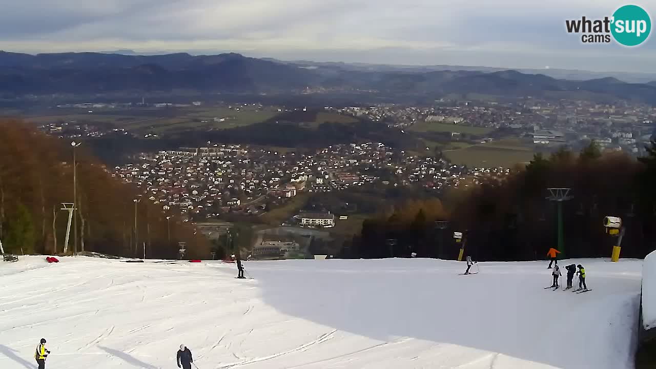 Webcam Pohorje Trikotna Jasa | Poštela