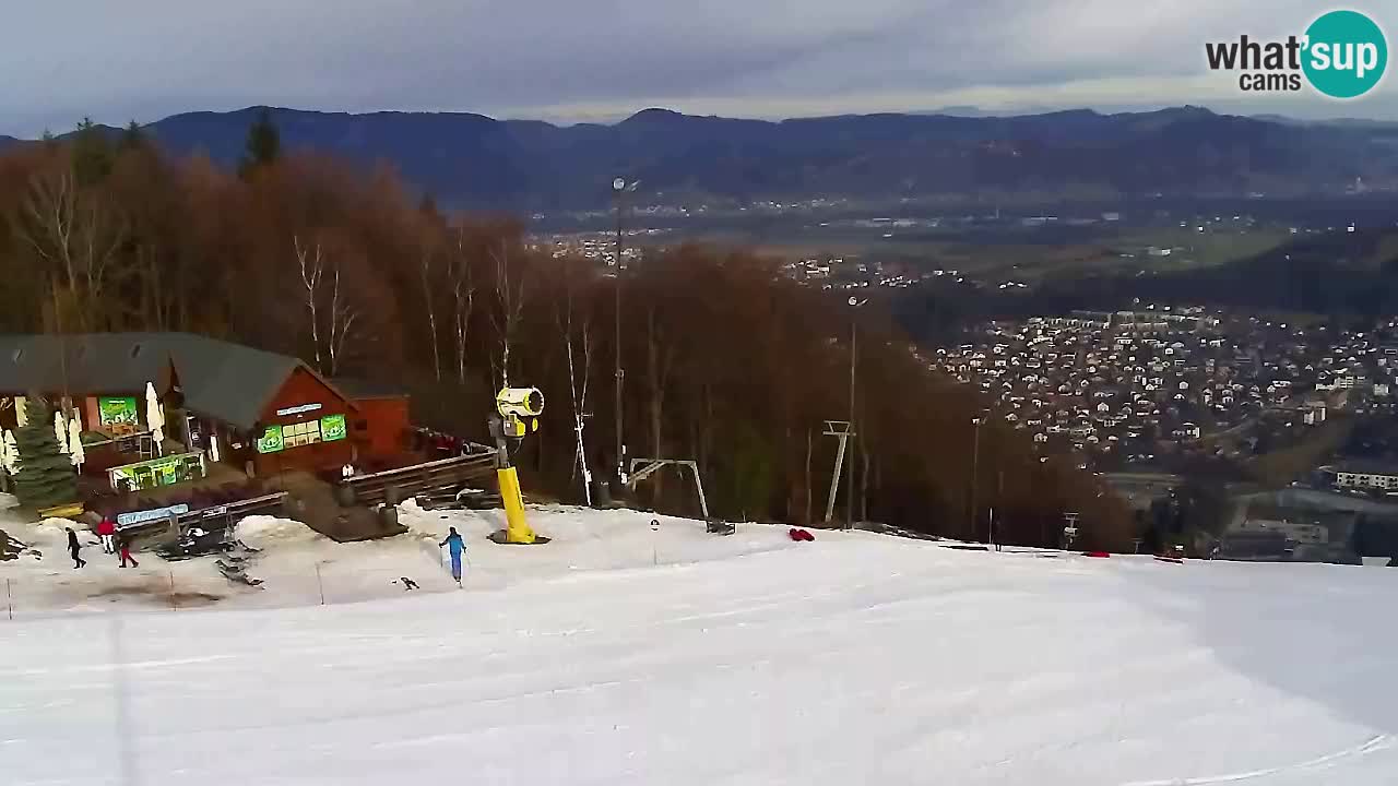 Webcam Pohorje Trikotna Jasa | Poštela