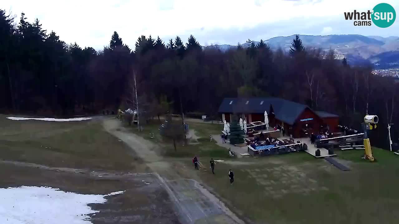 Webcam Pohorje Trikotna Jasa | Poštela