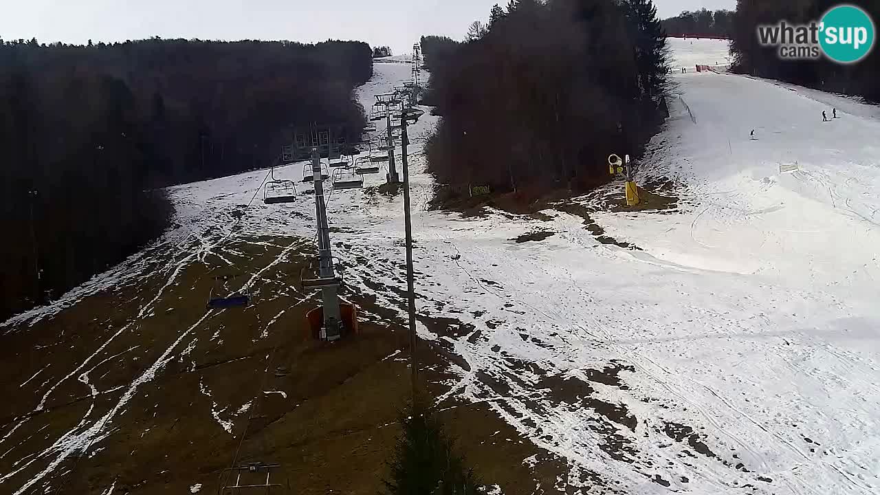 Web Camera Pohorje Trikotna Jasa | Poštela