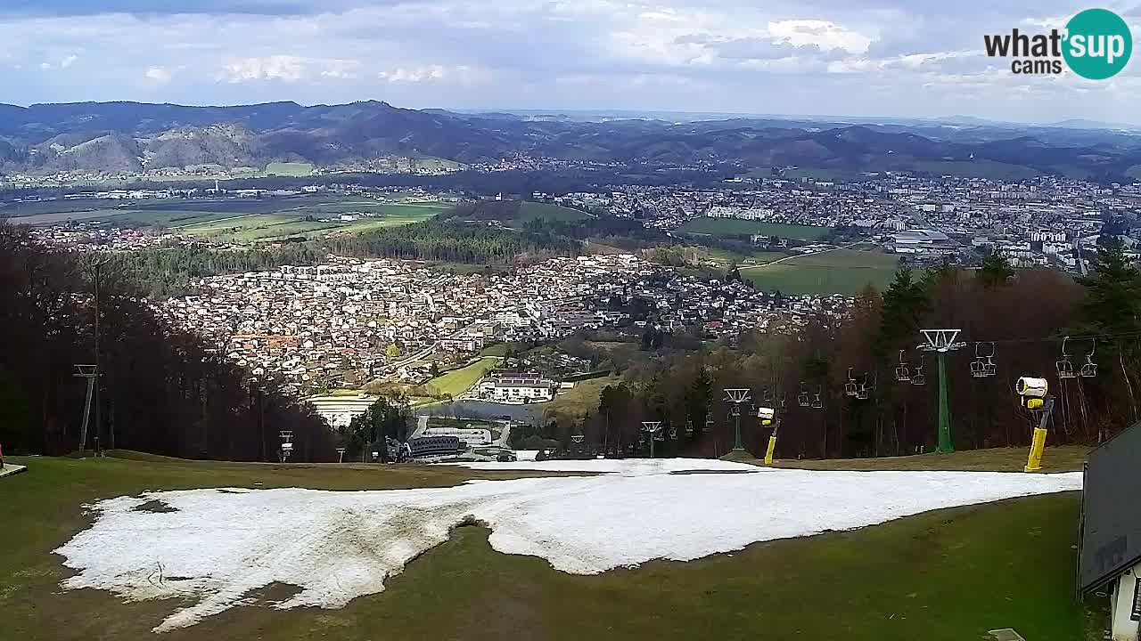 Webcam Pohorje Trikotna Jasa | Poštela