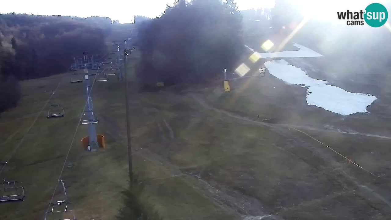 Webcam Pohorje Trikotna Jasa | Poštela