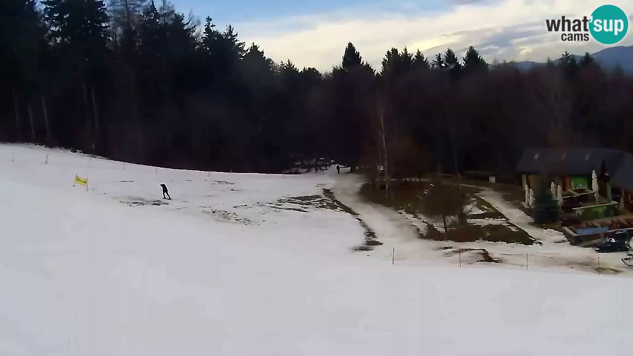 Webcam Pohorje Trikotna Jasa | Poštela