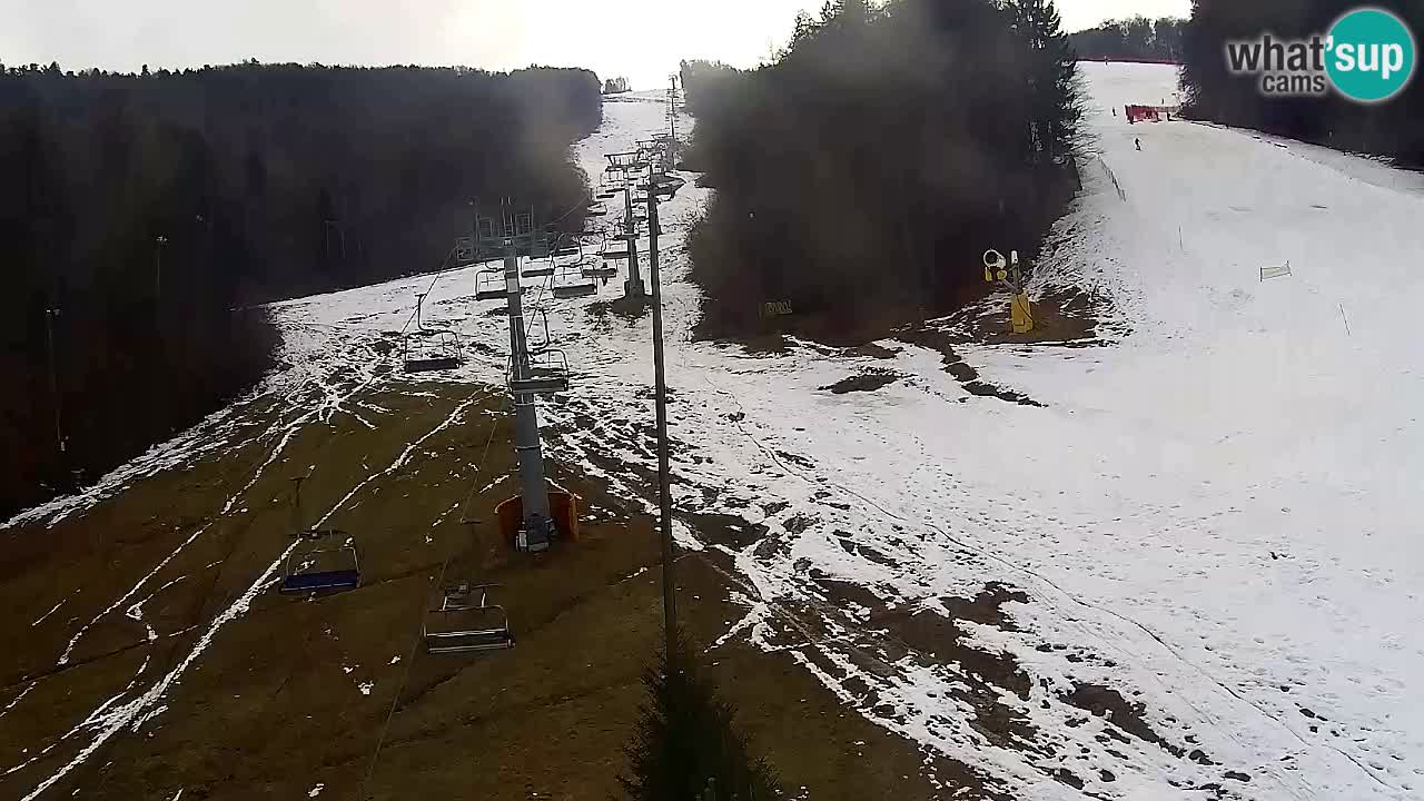 Web Camera Pohorje Trikotna Jasa | Poštela