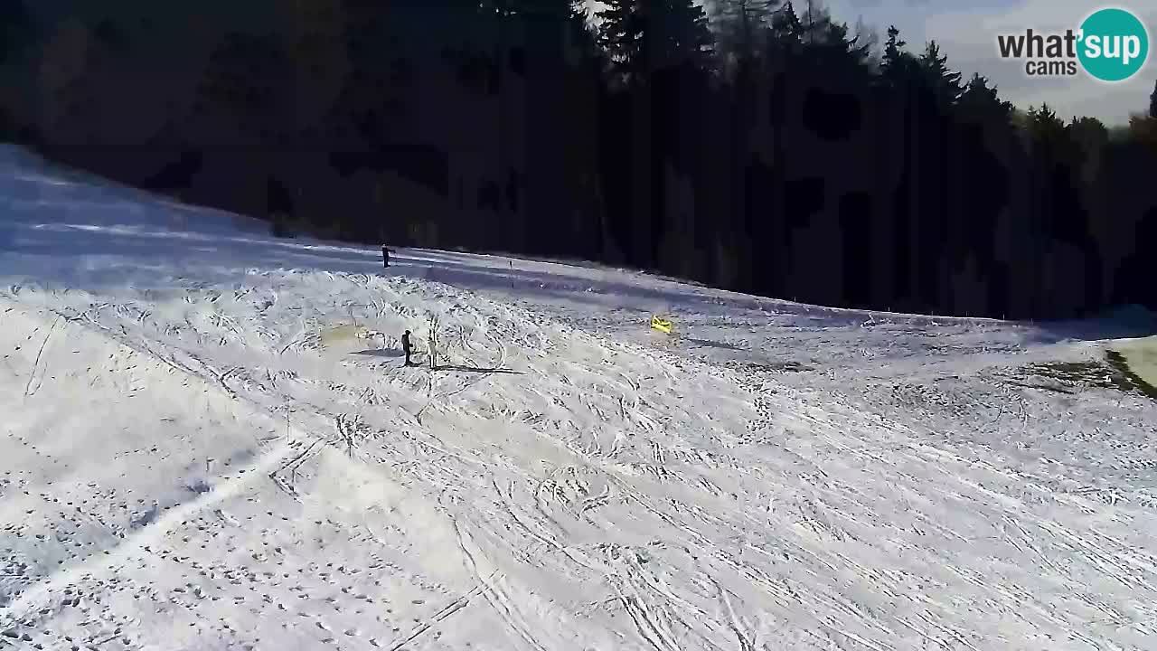 Web Camera Pohorje Trikotna Jasa | Poštela