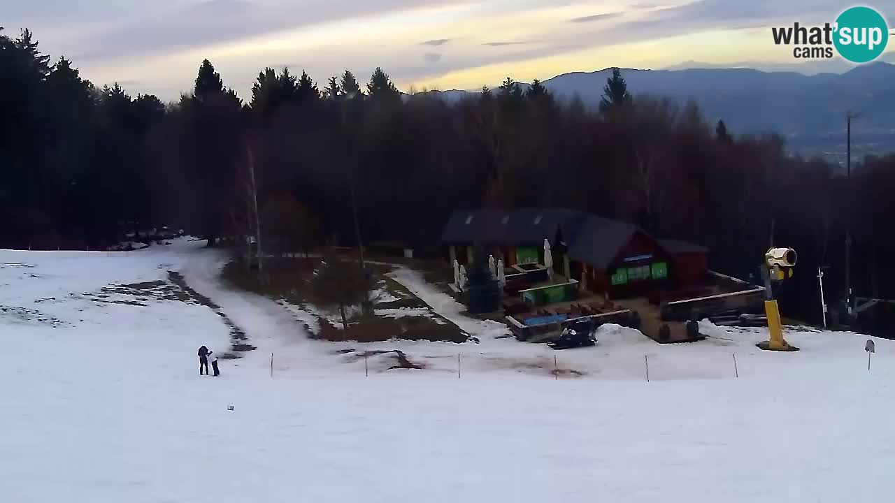 Webcam Pohorje Trikotna Jasa | Poštela