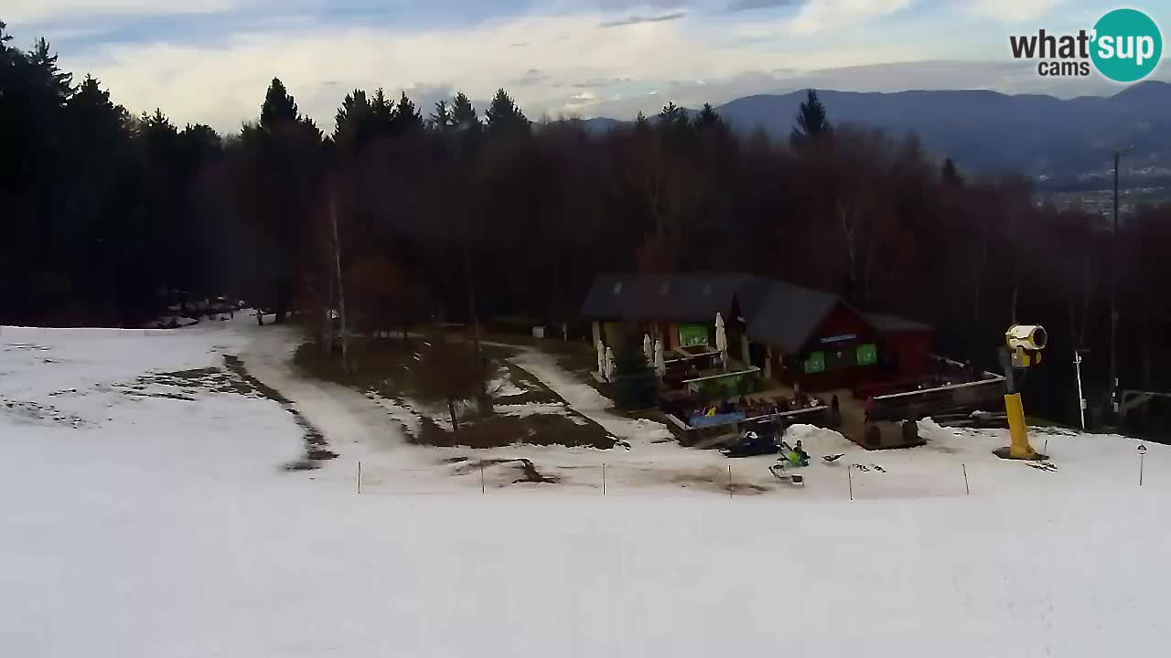Webcam Pohorje Trikotna Jasa | Poštela