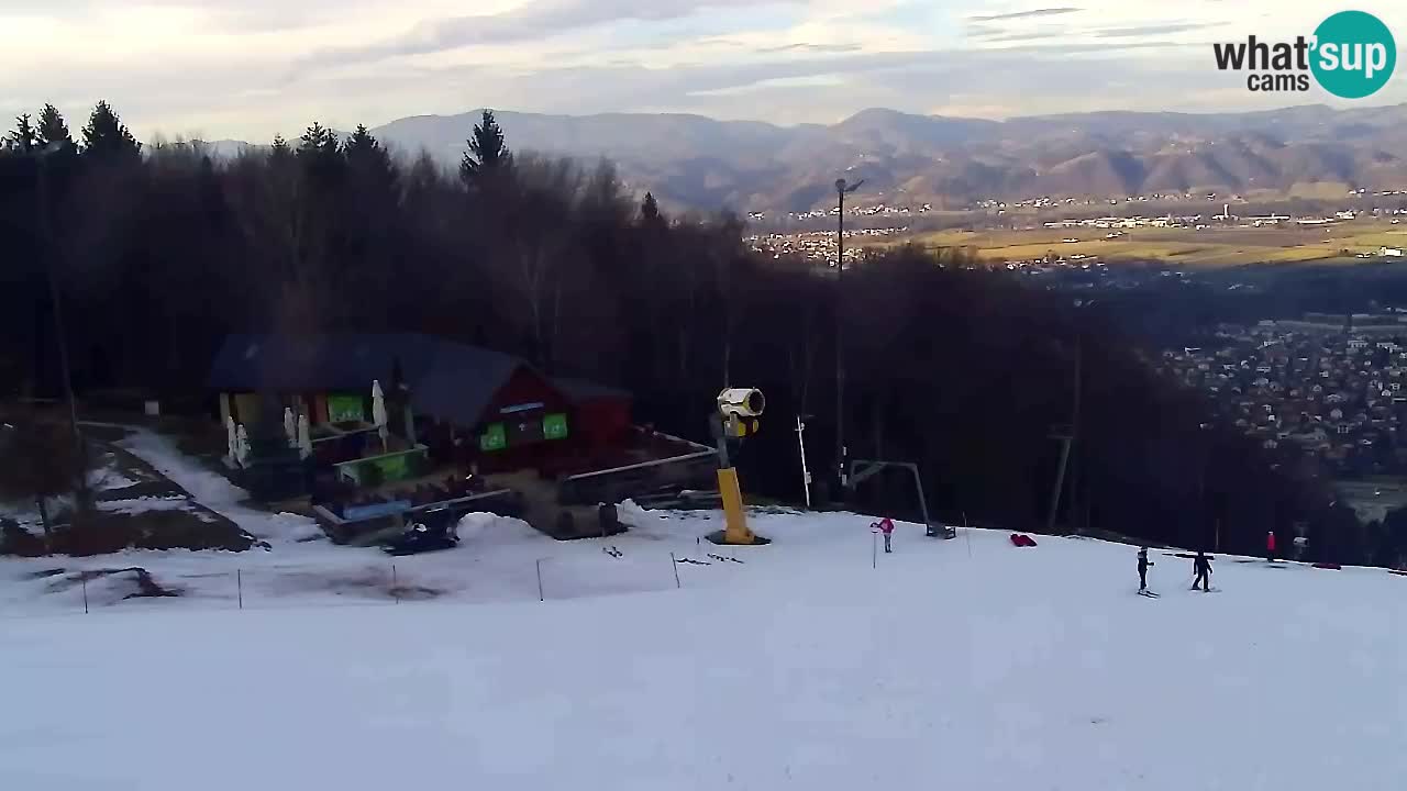 Webcam Pohorje Trikotna Jasa | Poštela