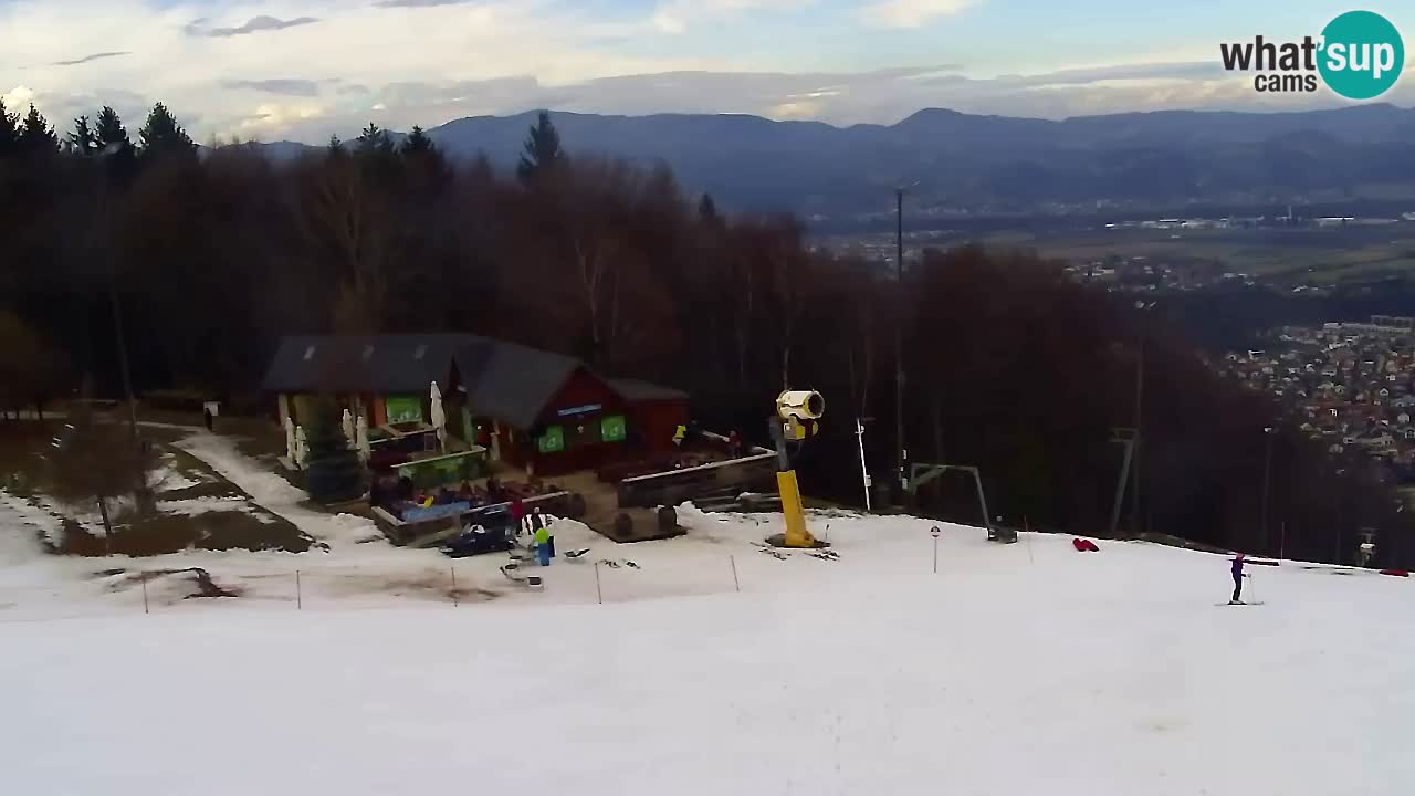 Webcam Pohorje Trikotna Jasa | Poštela