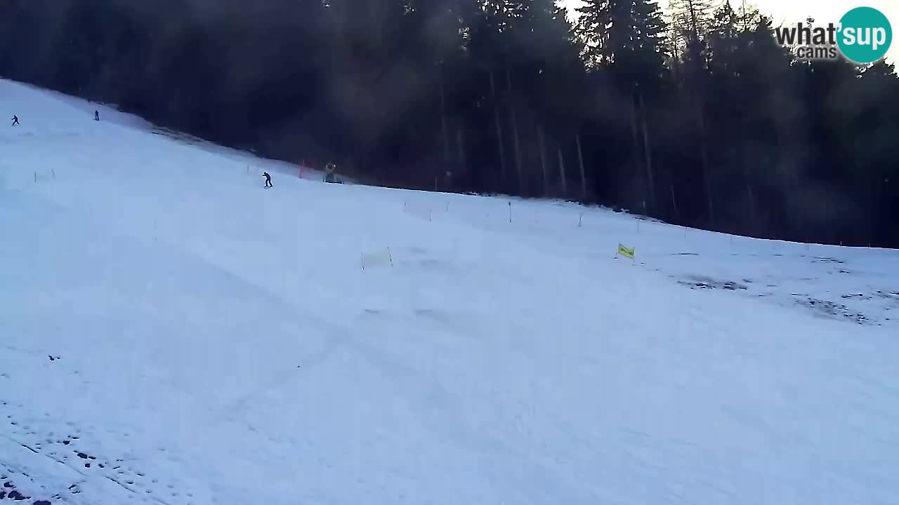 Webcam Pohorje Trikotna Jasa | Poštela