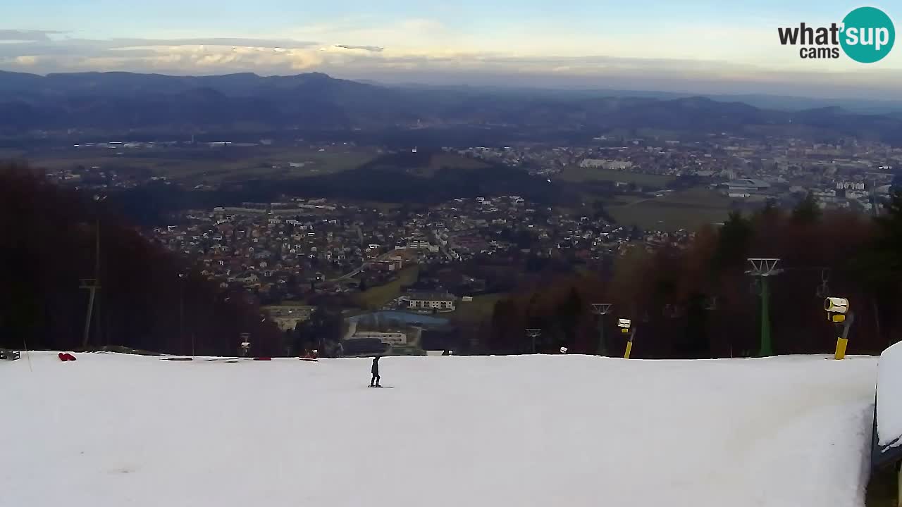 Webcam Pohorje Trikotna Jasa | Poštela