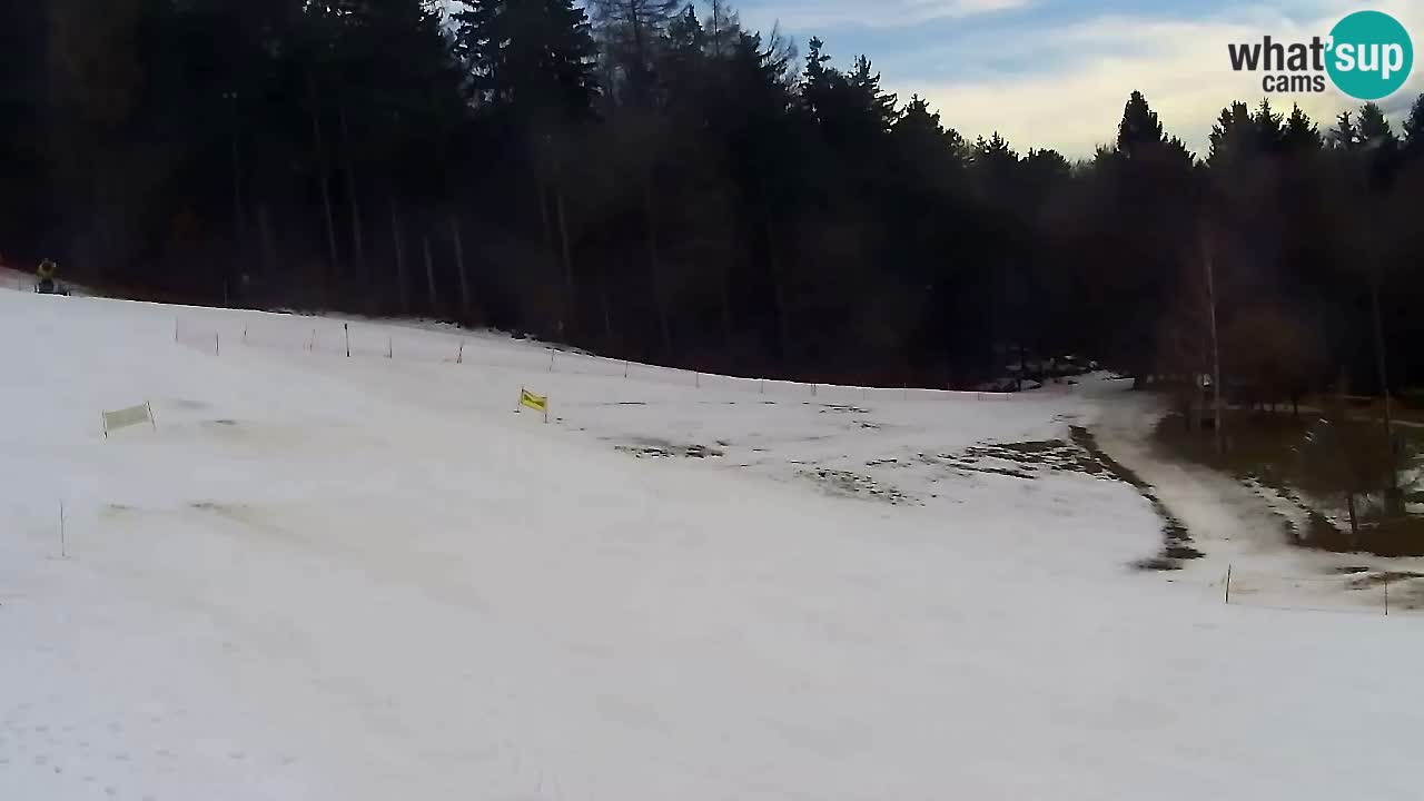 Web Camera Pohorje Trikotna Jasa | Poštela
