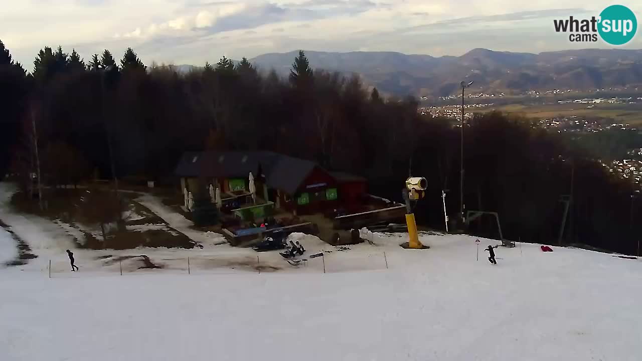 Webcam Pohorje Trikotna Jasa | Poštela