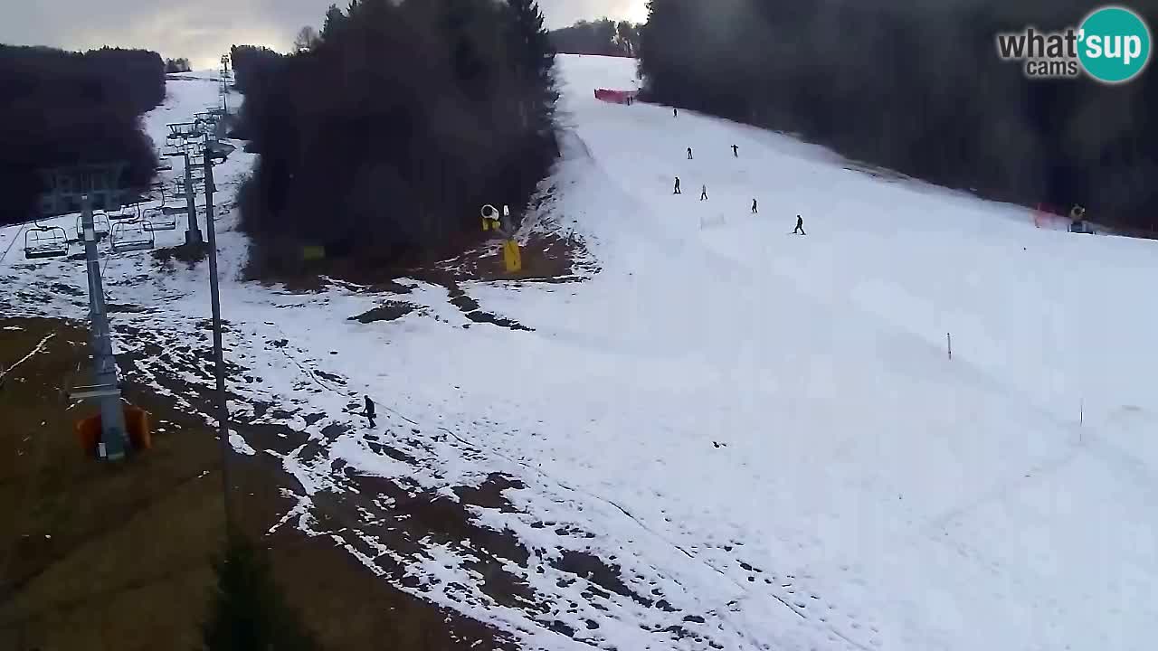 Webcam Pohorje Trikotna Jasa | Poštela