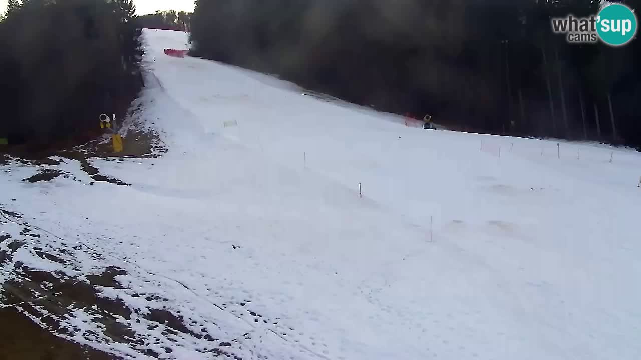 Webcam Pohorje Trikotna Jasa | Poštela