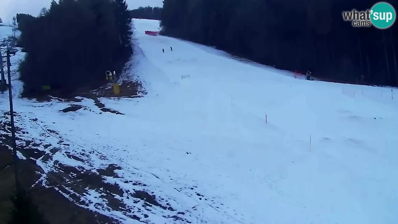 Webcam Pohorje Trikotna Jasa | Poštela