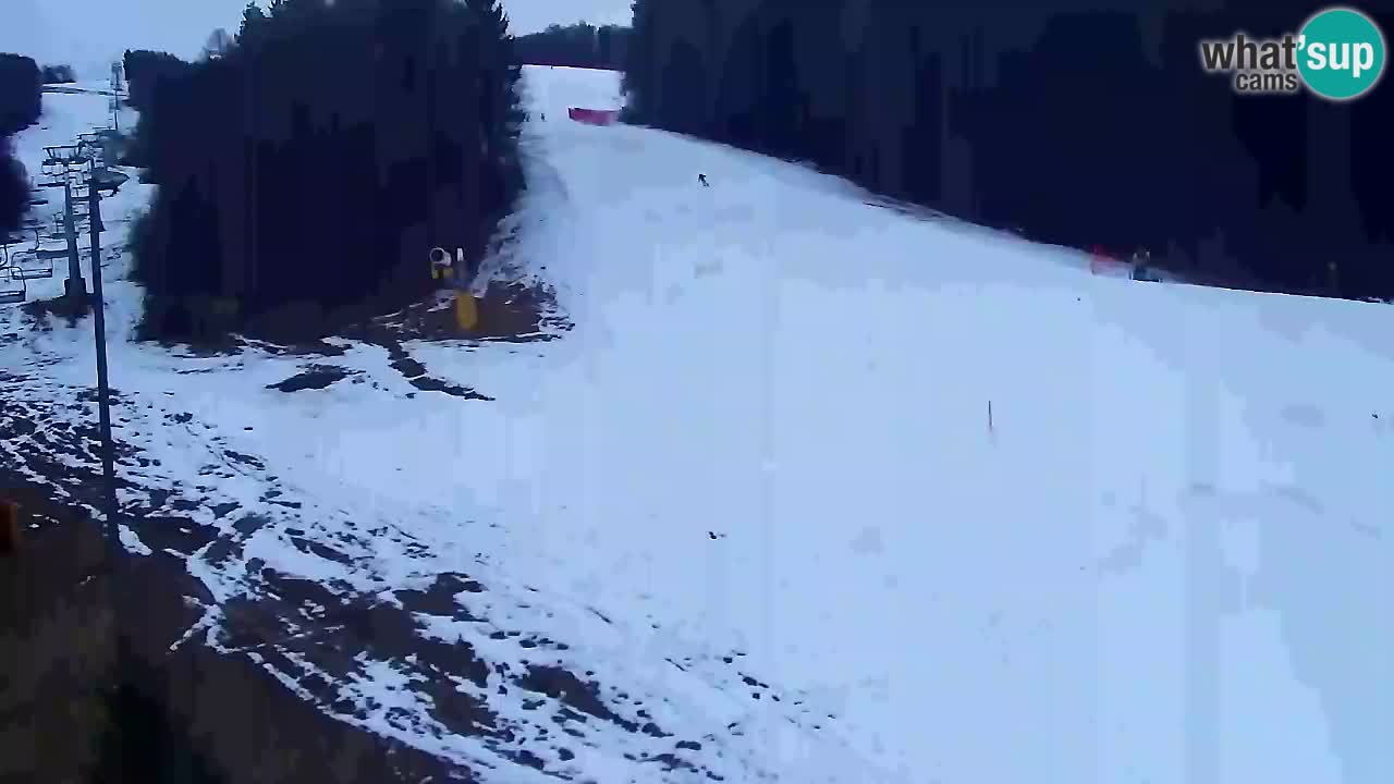 Webcam Pohorje Trikotna Jasa | Poštela