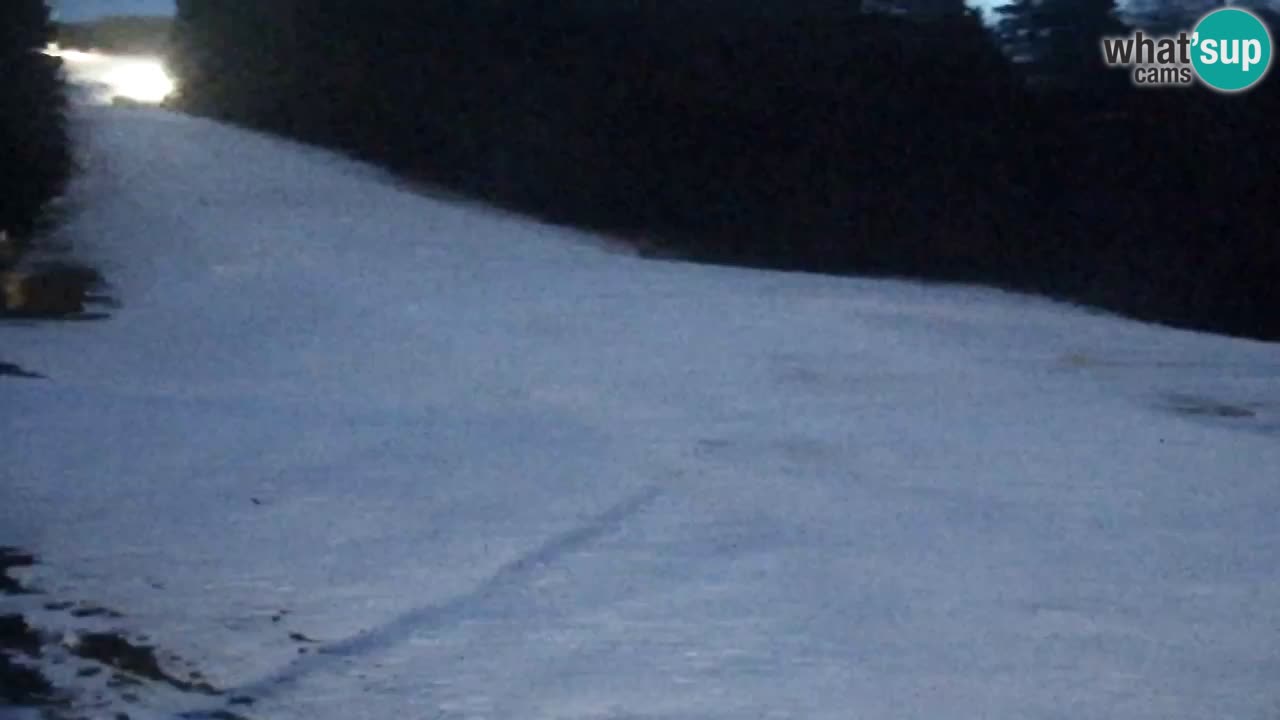 Spletna Kamera Pohorje Trikotna Jasa | Poštela