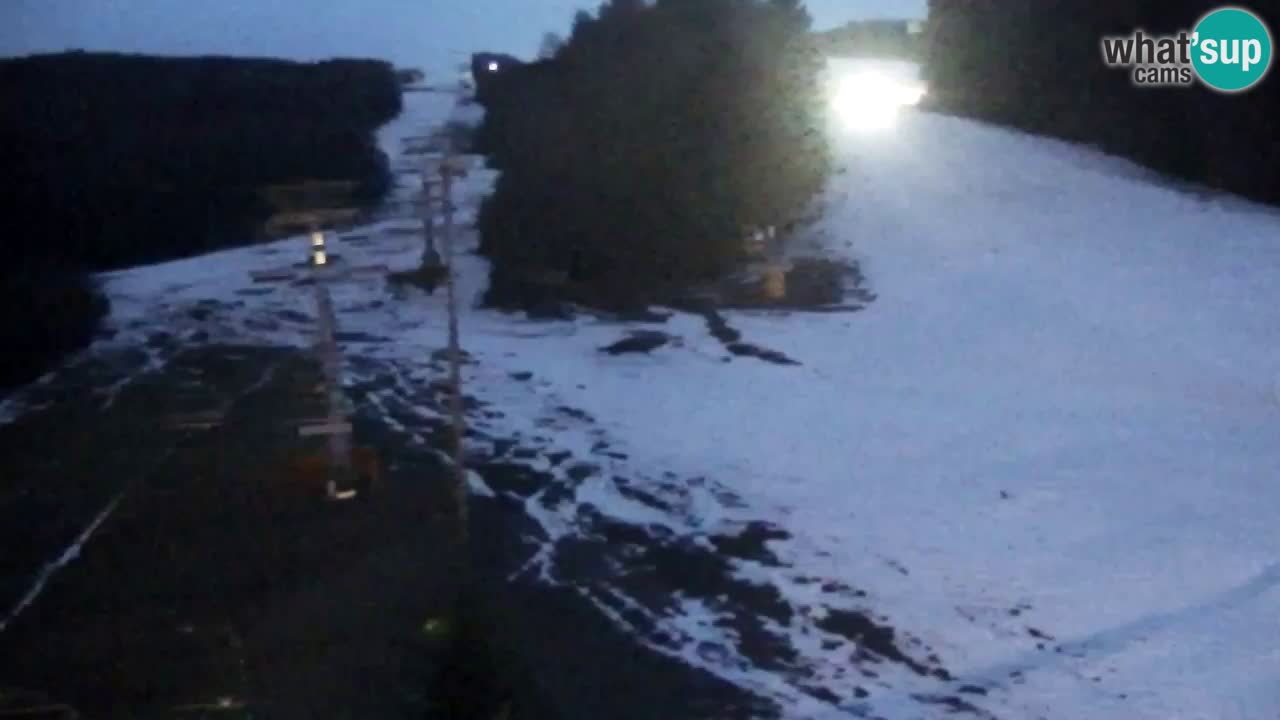 Web Camera Pohorje Trikotna Jasa | Poštela