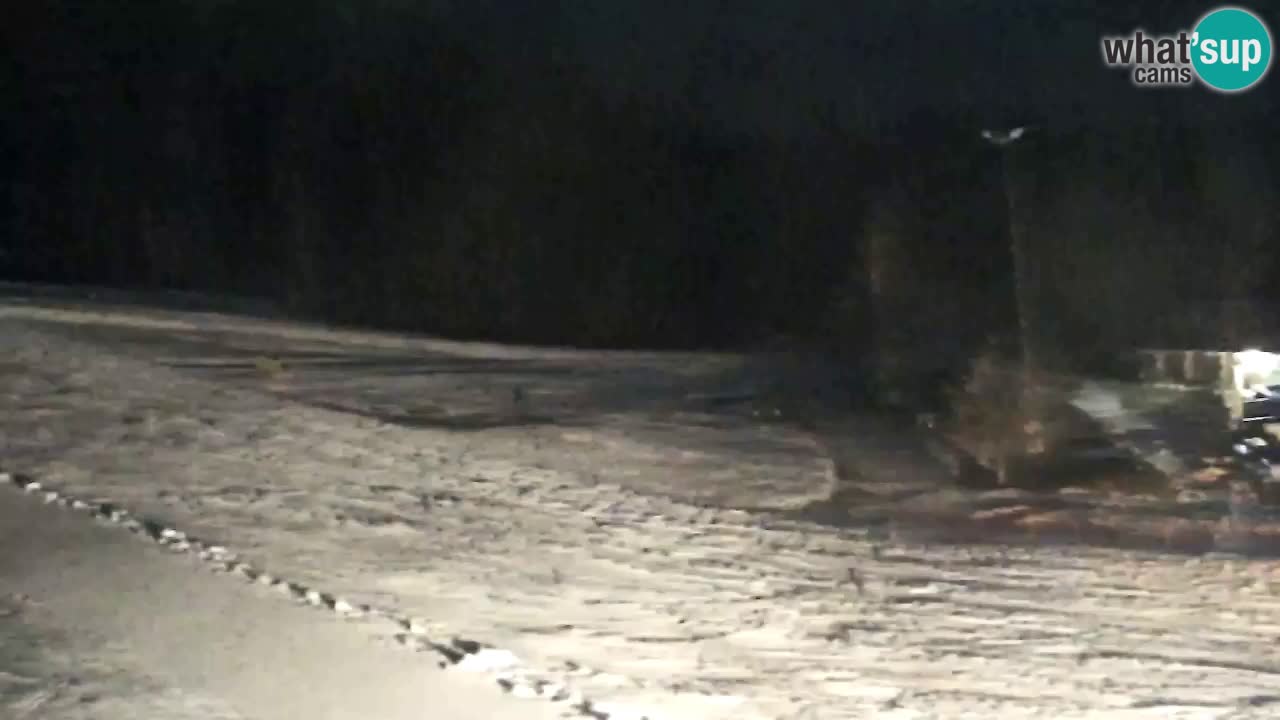 Webcam Pohorje Trikotna Jasa | Poštela