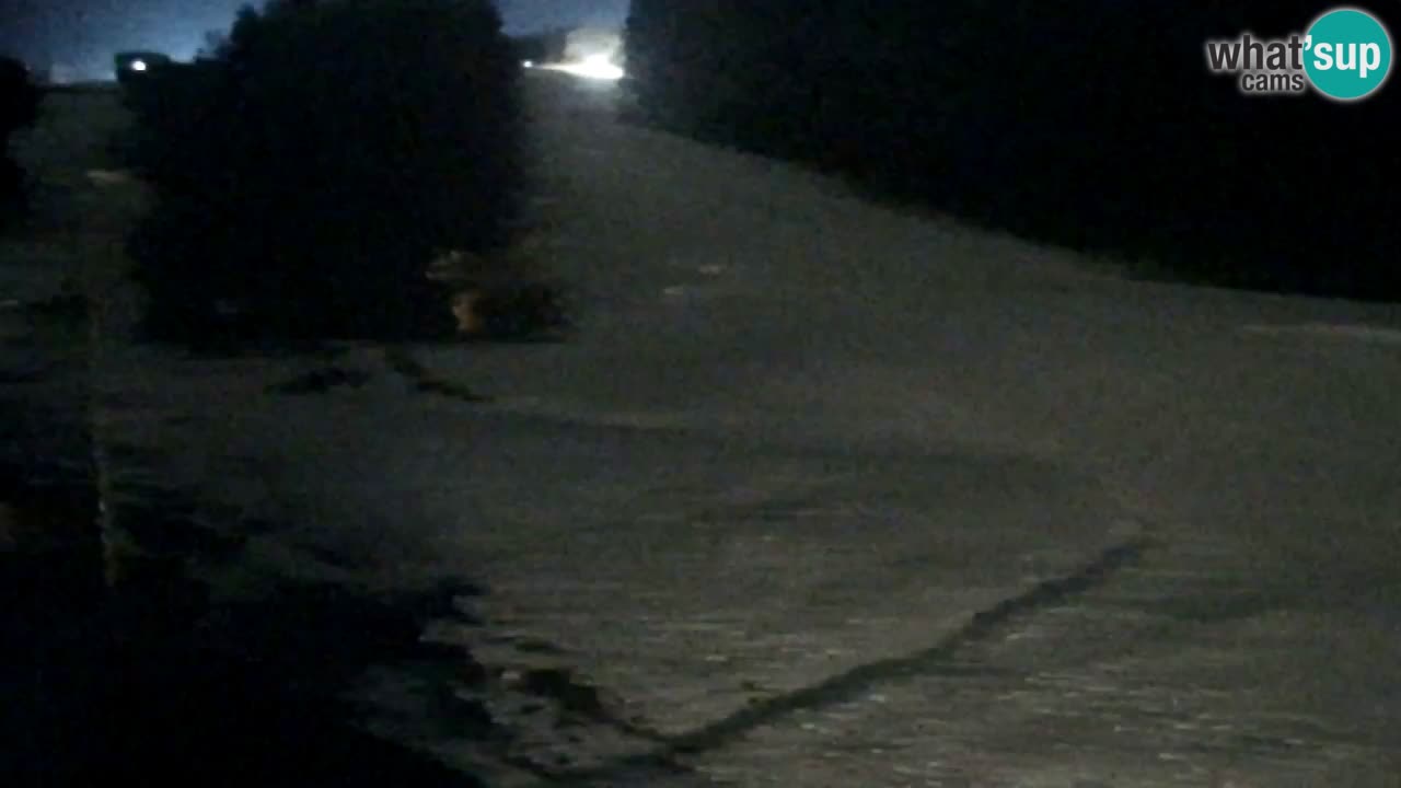 Webcam Pohorje Trikotna Jasa | Poštela