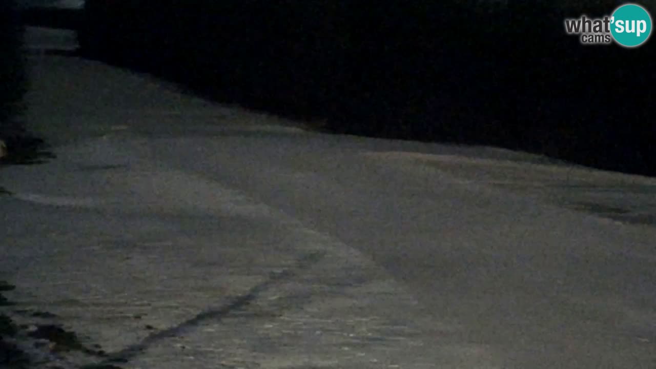 Webcam Pohorje Trikotna Jasa | Poštela