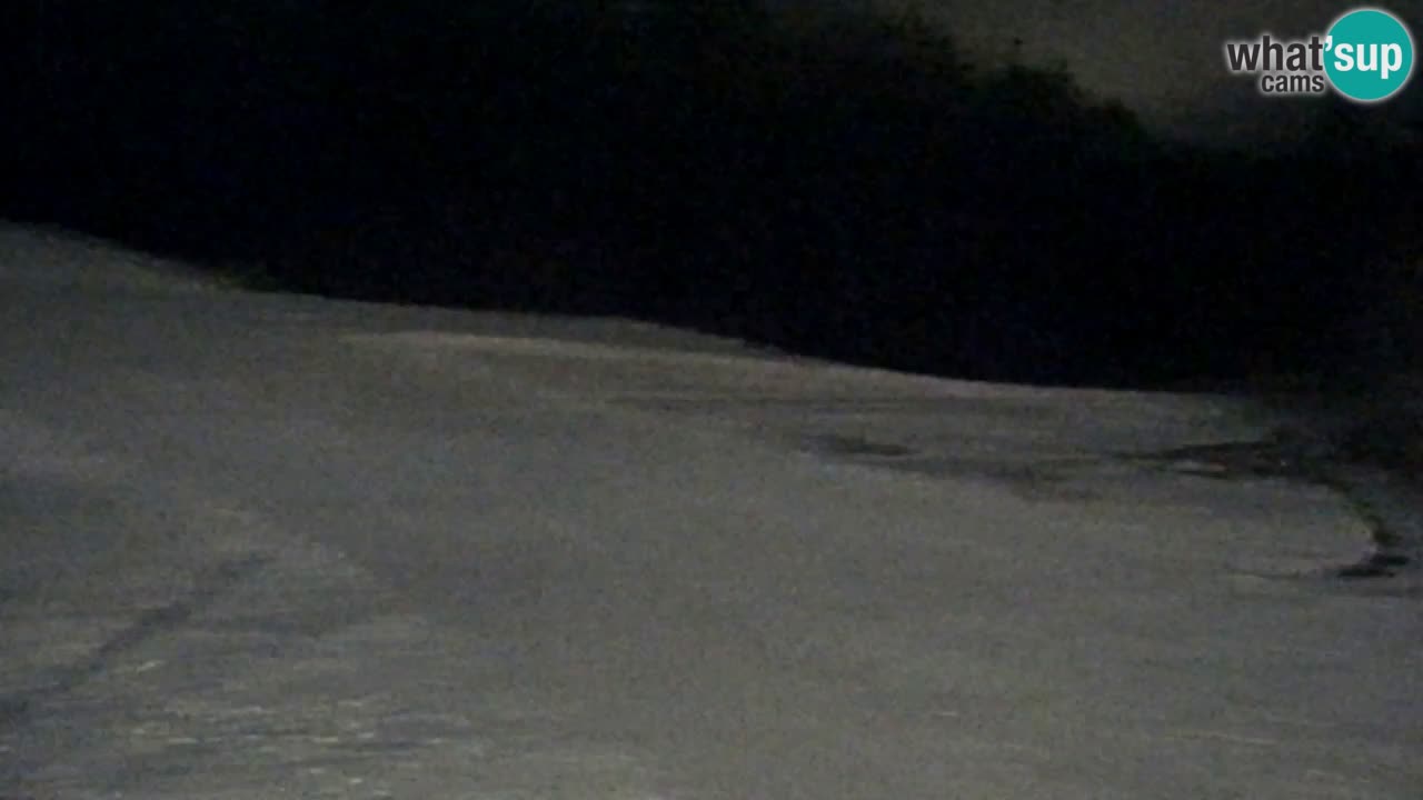 Webcam Pohorje Trikotna Jasa | Poštela