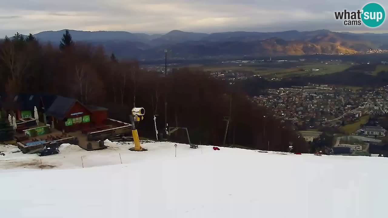 Webcam Pohorje Trikotna Jasa | Poštela