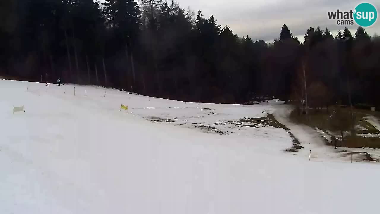 Webcam Pohorje Trikotna Jasa | Poštela