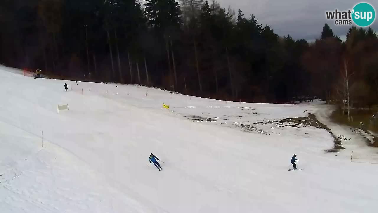 Web kamera Pohorje Trikotna Jasa | Poštela