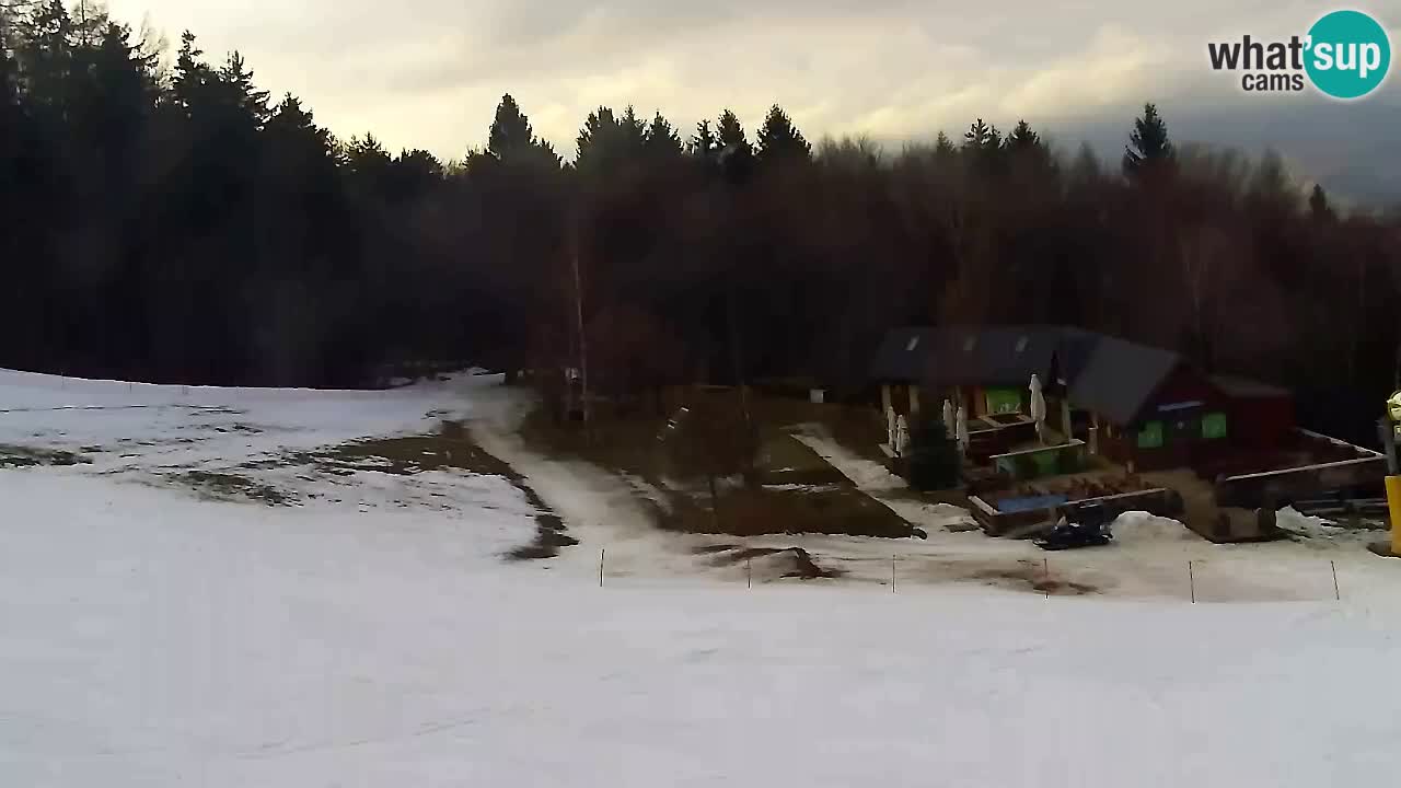 Webcam Pohorje Trikotna Jasa | Poštela