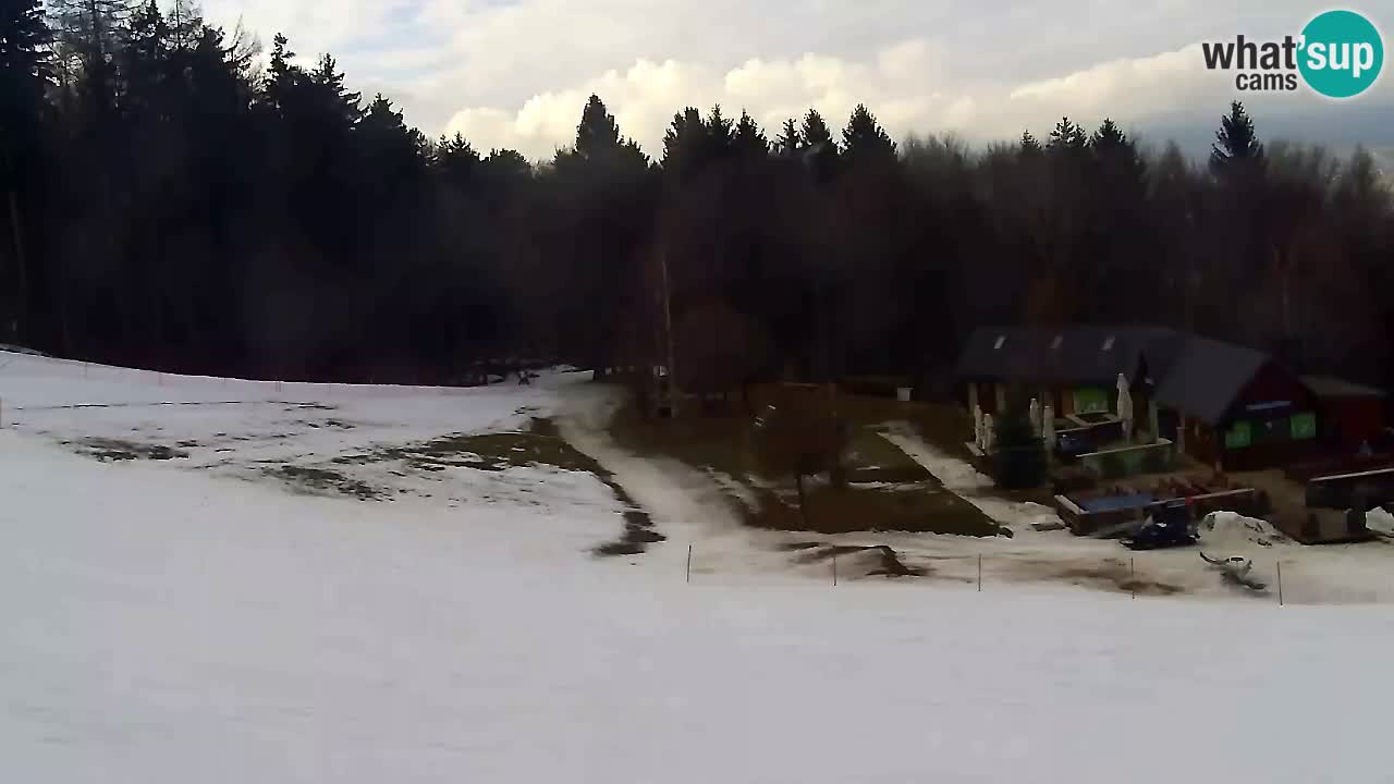 Web Camera Pohorje Trikotna Jasa | Poštela