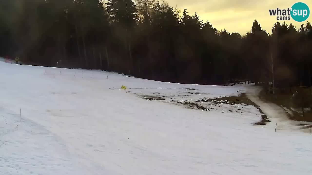 Web Camera Pohorje Trikotna Jasa | Poštela