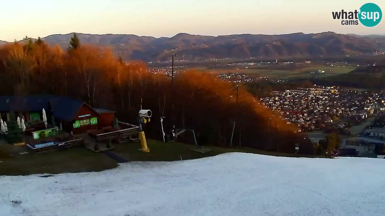 Web Camera Pohorje Trikotna Jasa | Poštela