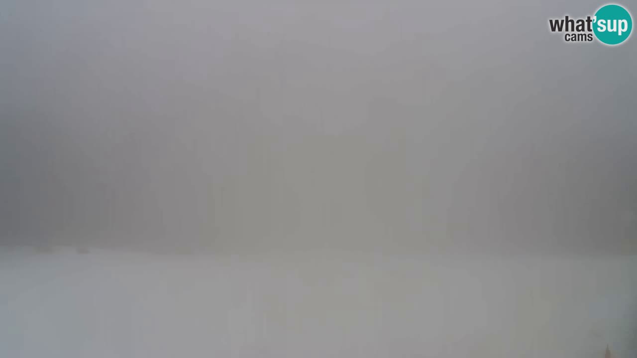 Webcam Pohorje Trikotna Jasa | Poštela