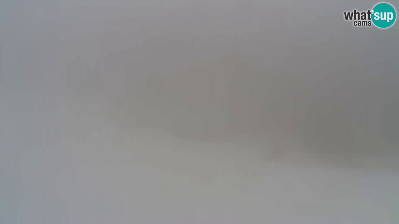 Web Camera Pohorje Trikotna Jasa | Poštela