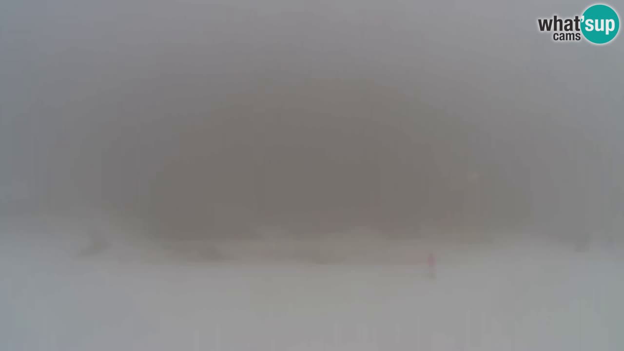 Web Camera Pohorje Trikotna Jasa | Poštela