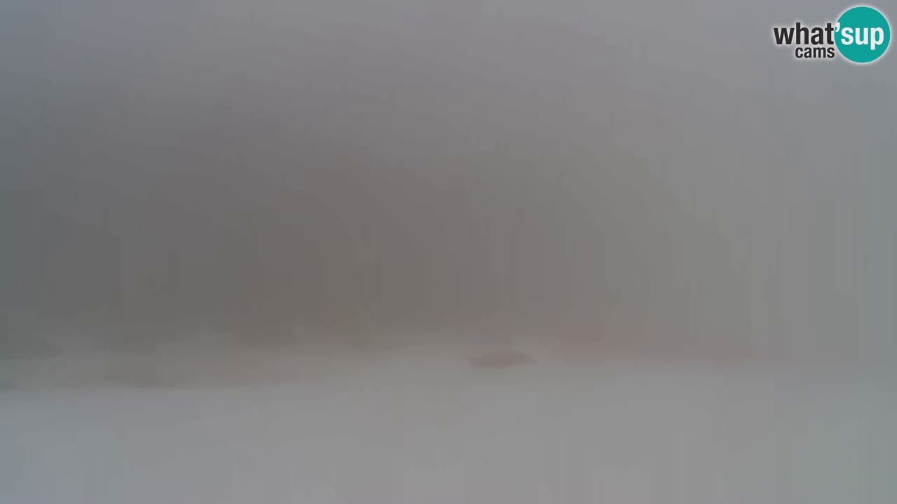 Webcam Pohorje Trikotna Jasa | Poštela