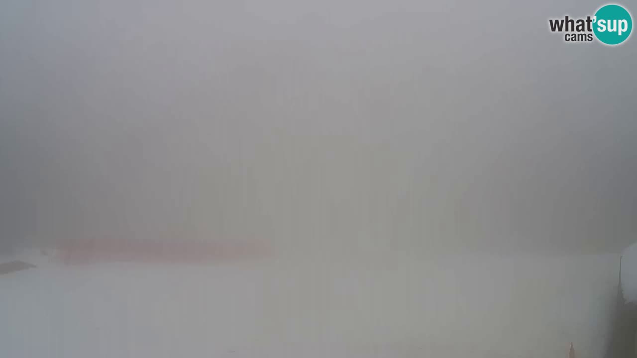 Web kamera Pohorje Trikotna Jasa | Poštela