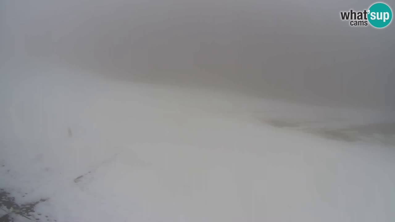 Webcam Pohorje Trikotna Jasa | Poštela