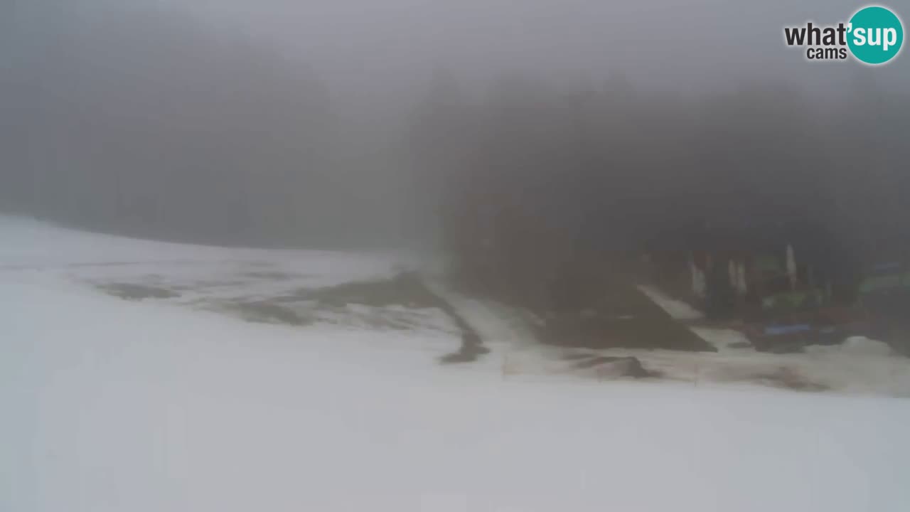 Web kamera Pohorje Trikotna Jasa | Poštela