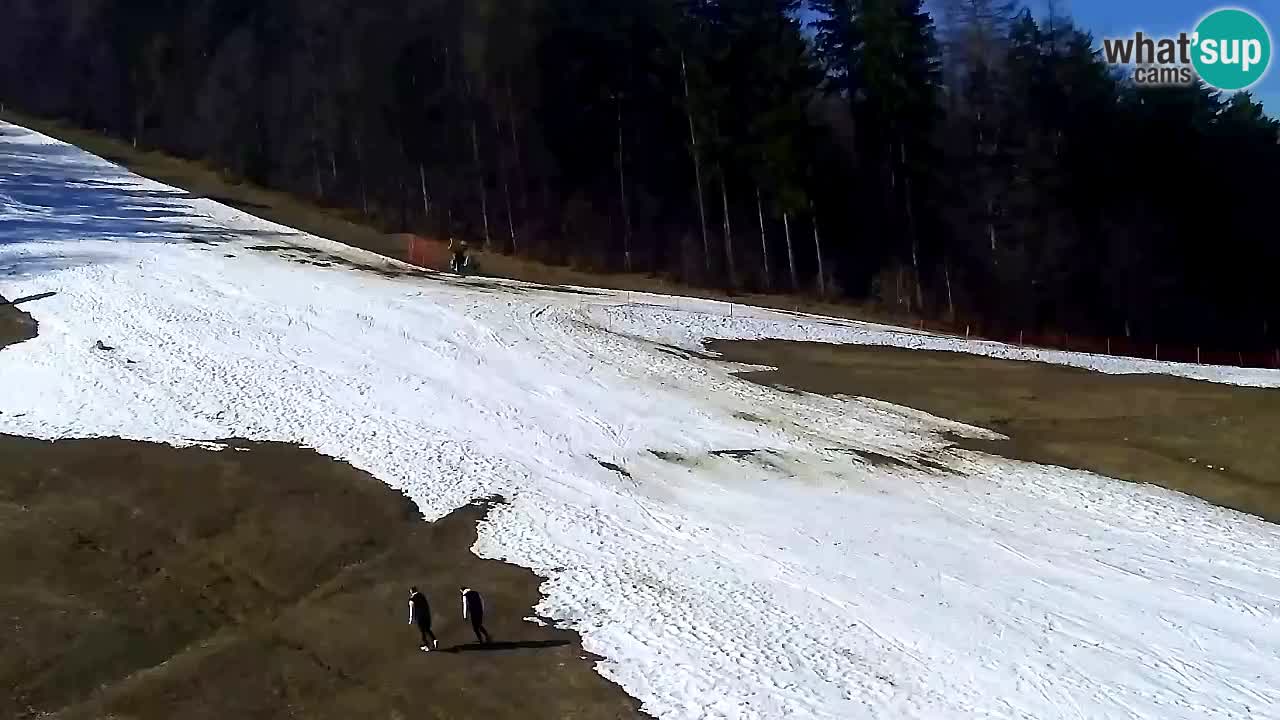 Webcam Pohorje Trikotna Jasa | Poštela