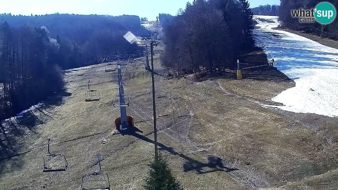 Web Camera Pohorje Trikotna Jasa | Poštela
