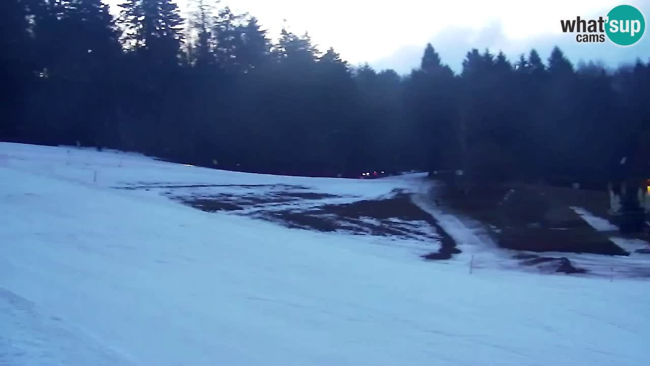 Webcam Pohorje Trikotna Jasa | Poštela