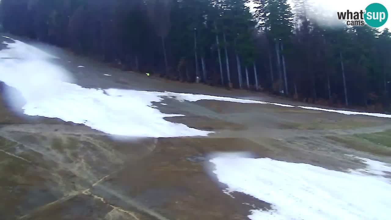 Webcam Pohorje Trikotna Jasa | Poštela