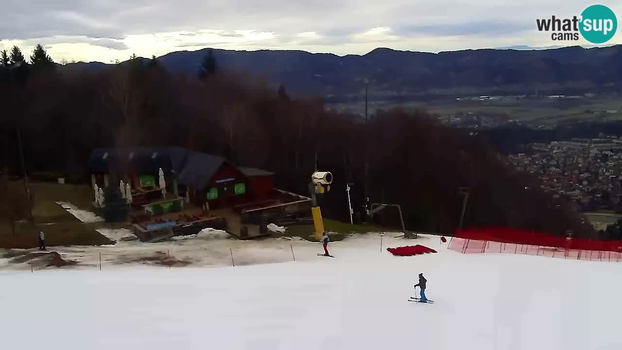 Webcam Pohorje Trikotna Jasa | Poštela