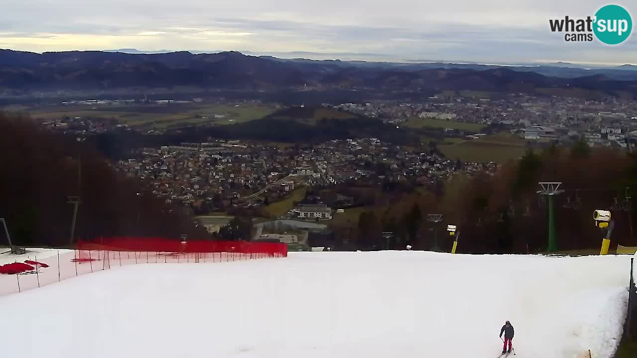 Webcam Pohorje Trikotna Jasa | Poštela