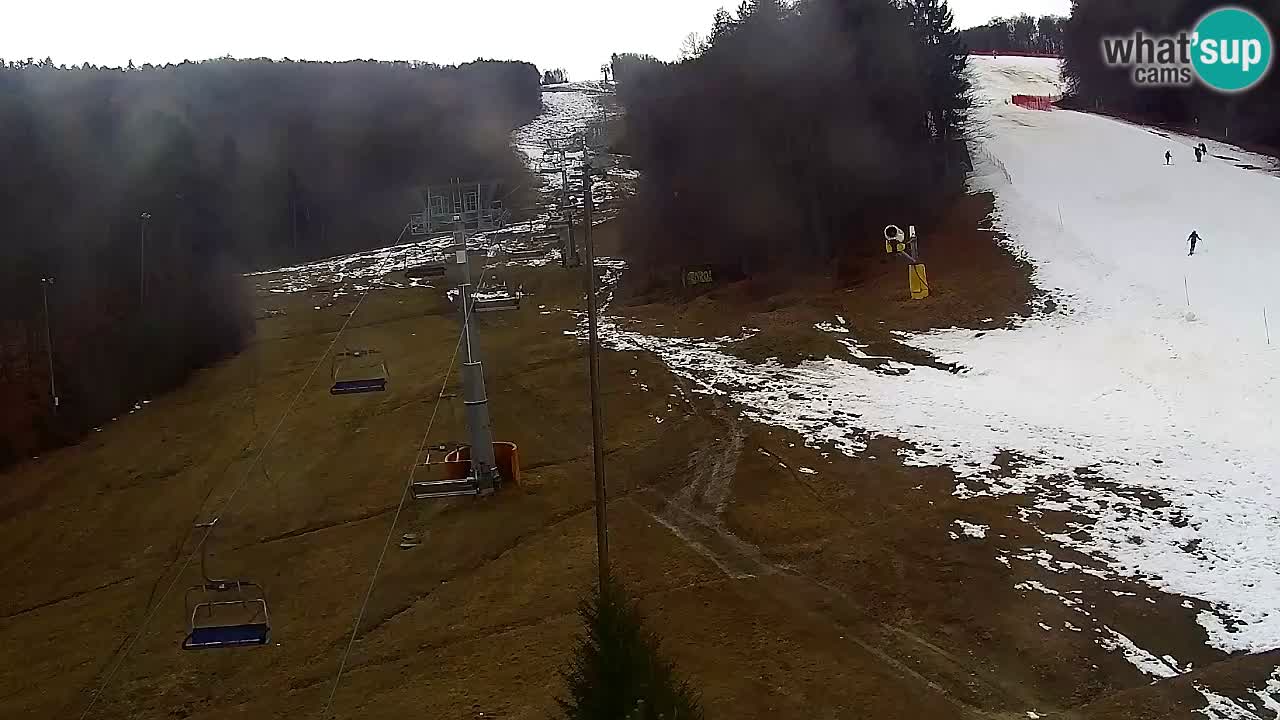 Webcam Pohorje Trikotna Jasa | Poštela