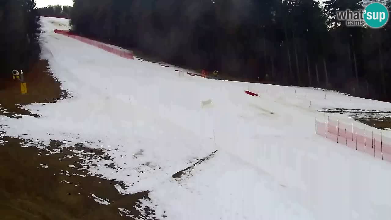 Spletna Kamera Pohorje Trikotna Jasa | Poštela