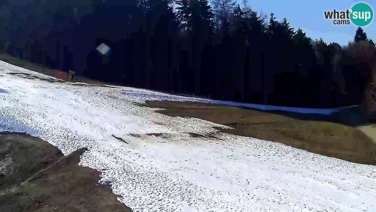 Webcam Pohorje Trikotna Jasa | Poštela